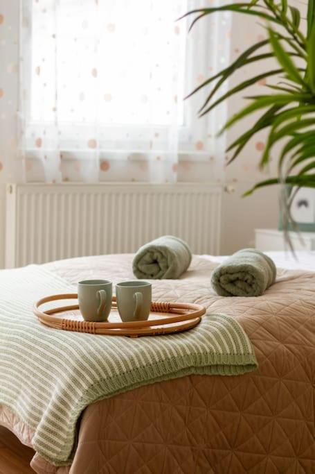 Apartmán Family Lux Lounge In Voeroesmarty Street By Nw Budapešť Exteriér fotografie